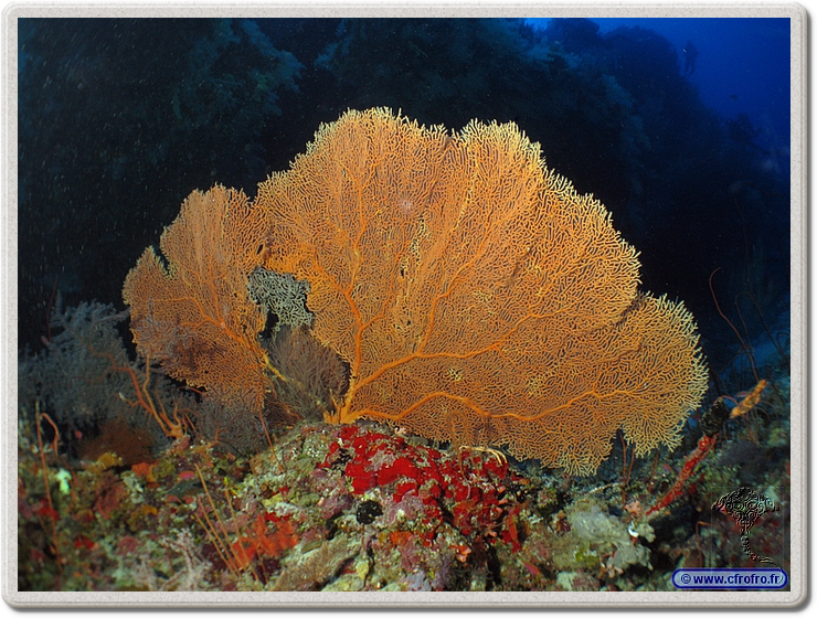 maldives_2011-03-09_07-58-43