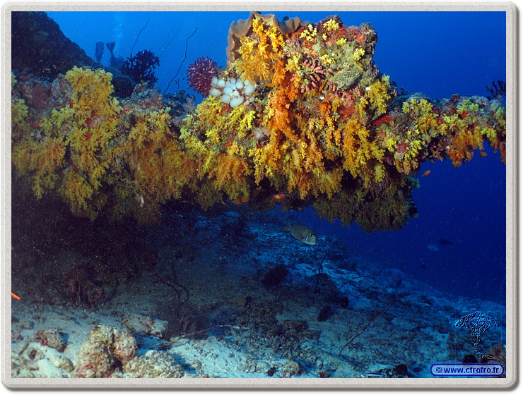 maldives_2011-03-09_17-02-52