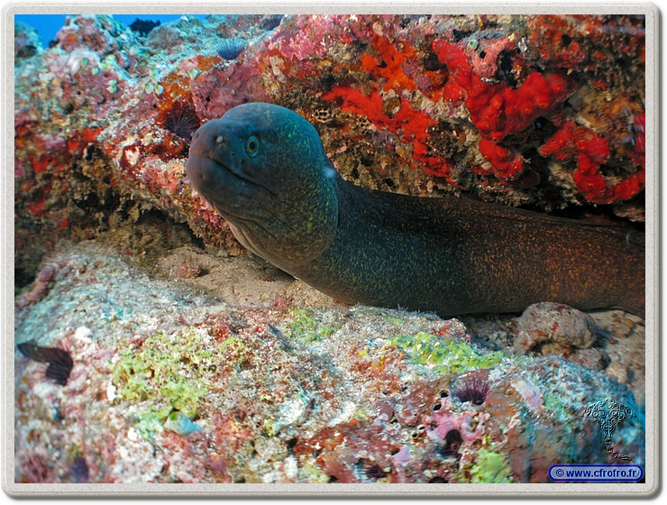 maldives_2011-03-09_17-14-11