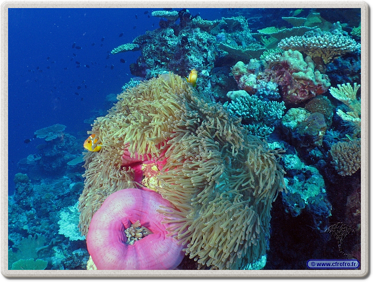 maldives_2011-03-13_16-48-50