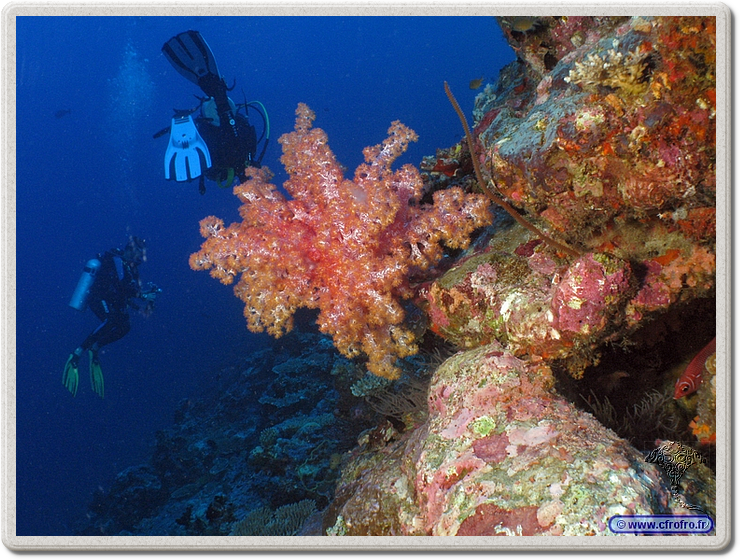 maldives_2011-03-13_17-00-13