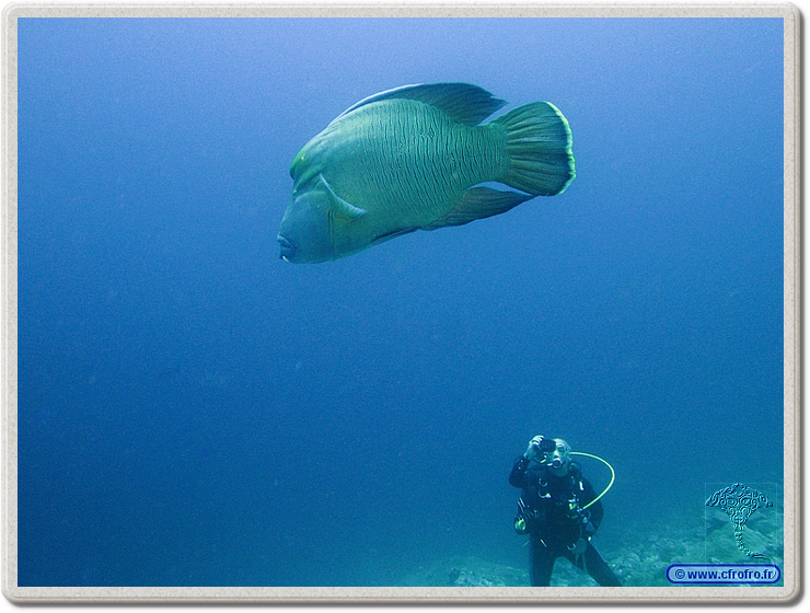 maldives_2011-03-15_12-38-42