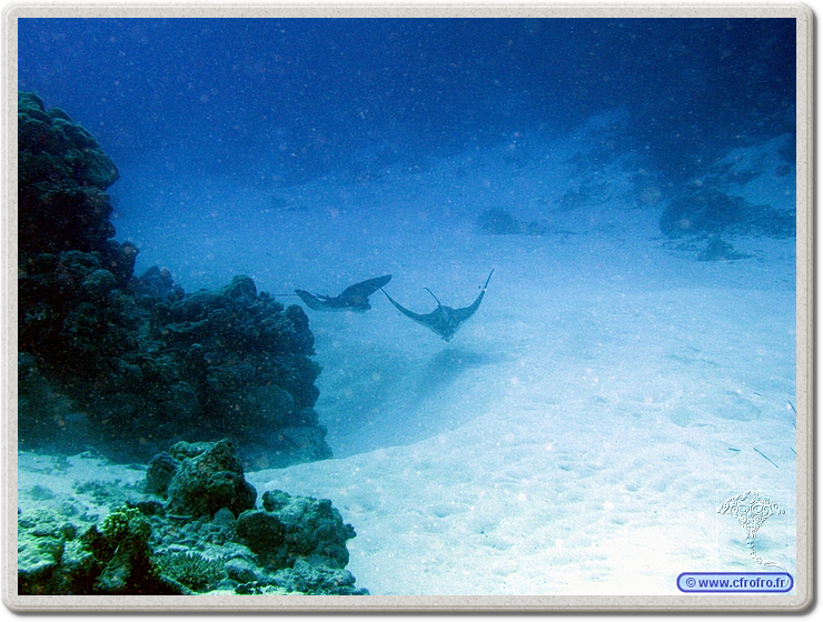 maldives_2011-03-15_17-04-51