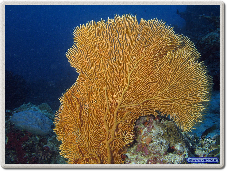 maldives_2011-03-17_08-06-13