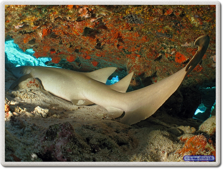 maldives_2011-03-18_12-23-40