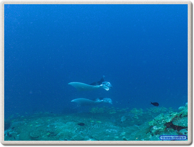 maldives_2011-03-19_08-26-48