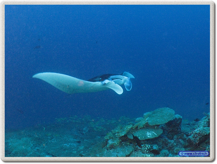 maldives_2011-03-19_08-28-53