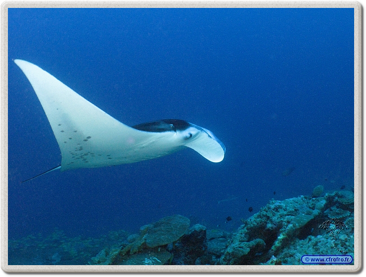 maldives_2011-03-19_08-28-57