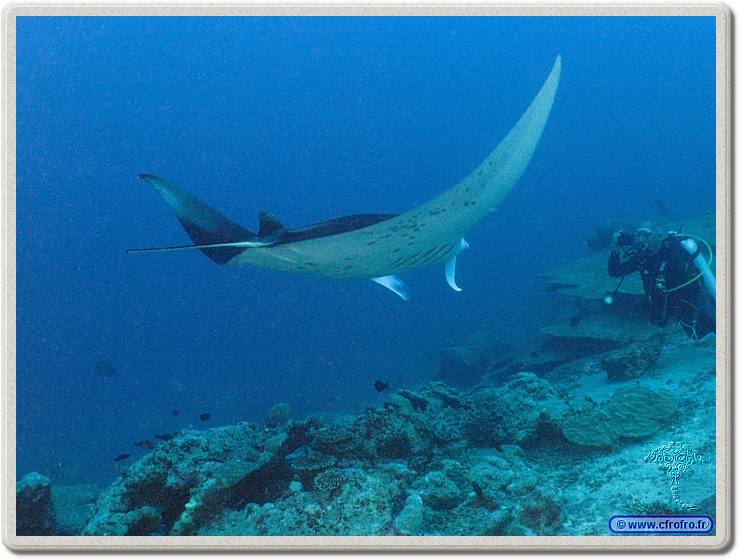 maldives_2011-03-19_08-29-03