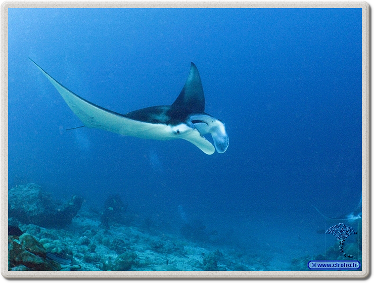 maldives_2011-03-19_08-38-37