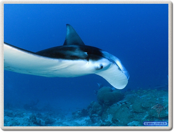 maldives_2011-03-19_08-38-53