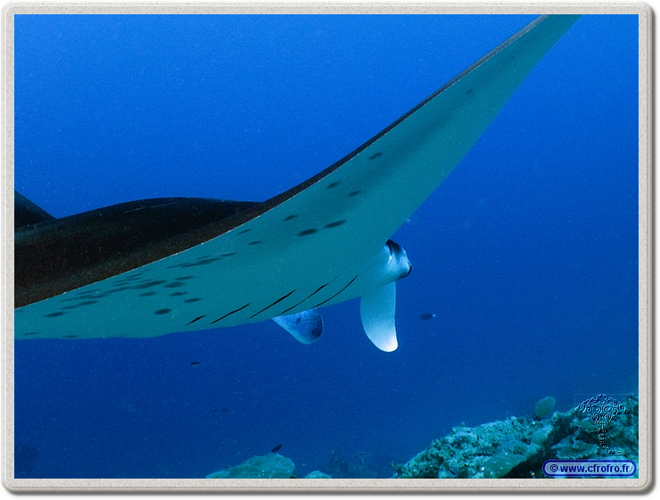 maldives_2011-03-19_08-39-08