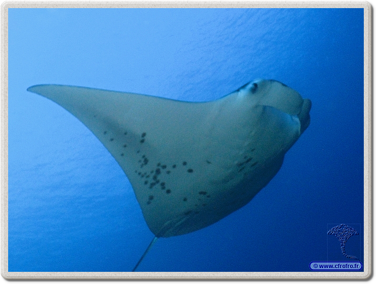 maldives_2011-03-19_08-40-59