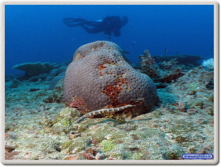 maldives_2011-03-19_17-40-55