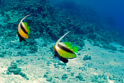 2011-09-11_10-09-08_bde