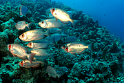 2011-09-11_10-51-23_bde