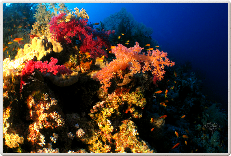 2011-09-11_15-13-06_bde