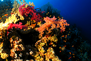 2011-09-11_15-13-06_bde