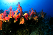 2011-09-11_15-19-10_bde