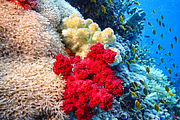 2011-09-12_11-53-27_bde