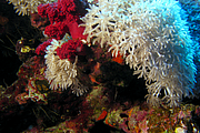 2011-09-12_11-53-59_bde