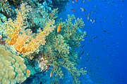 2011-09-12_16-30-12_bde