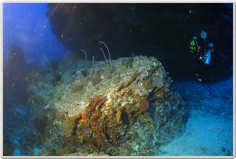 2011-09-13_07-07-21_bde