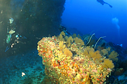 2011-09-13_07-08-01_bde