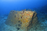 2011-09-13_07-09-15_bde