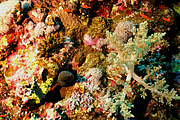 2011-09-13_07-43-12_bde