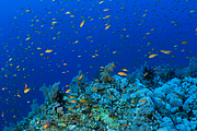 2011-09-13_11-34-42_bde