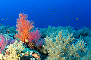 2011-09-13_11-46-13_bde