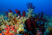 2011-09-13_11-47-40_bde