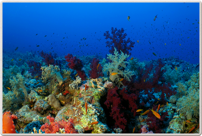 2011-09-13_11-47-51_bde