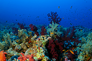 2011-09-13_11-47-51_bde