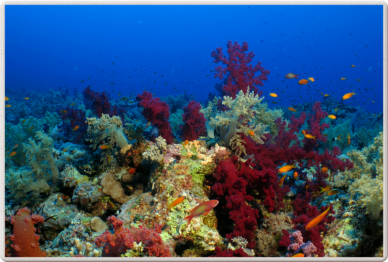 2011-09-13_11-48-11_bde