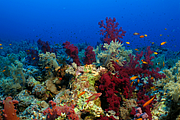 2011-09-13_11-48-11_bde