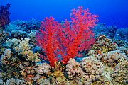 2011-09-13_11-48-51_bde