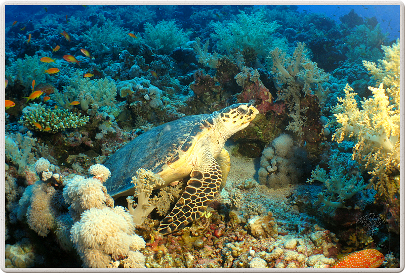 2011-09-13_11-52-42_bde