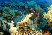 2011-09-13_11-52-42_bde