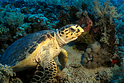 2011-09-13_11-53-18_bde