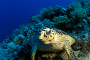 2011-09-13_11-53-48_bde