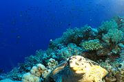 2011-09-13_11-54-01_bde