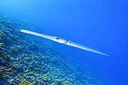 2011-09-13_12-04-30_bde