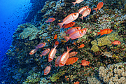 2011-09-13_12-16-05_bde