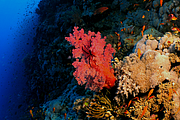 2011-09-13_12-18-47_bde
