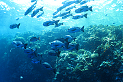2011-09-13_12-34-47_bde