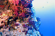 2011-09-14_11-55-55_bde