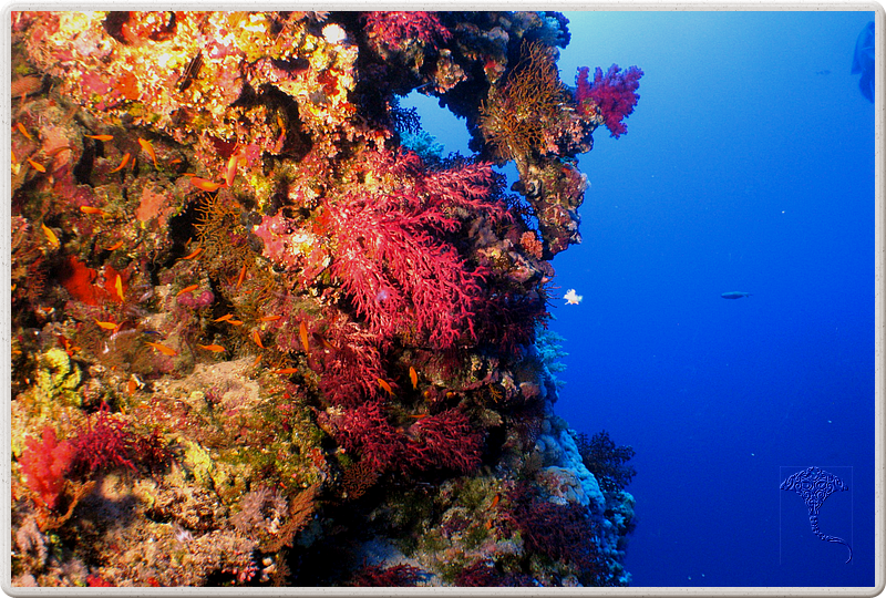 2011-09-14_11-56-10_bde