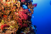 2011-09-14_11-56-10_bde
